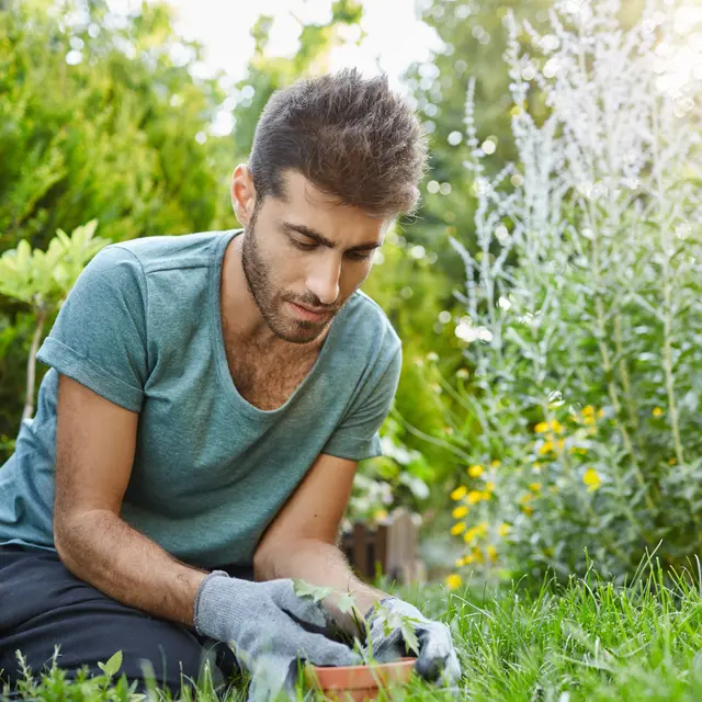 Balade thématique sur les plantes sauvages_Roquemaure