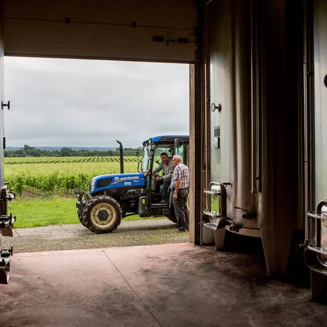 Domaine de Lescure