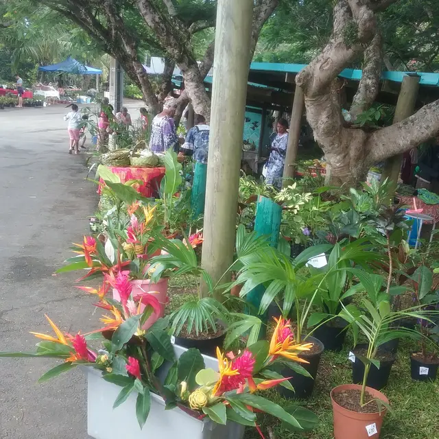 Place du marché de Farino