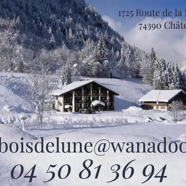 Carte de visite hiver - Hôtel Au bois de Lune