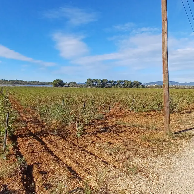 Tour de La Londe les Maures