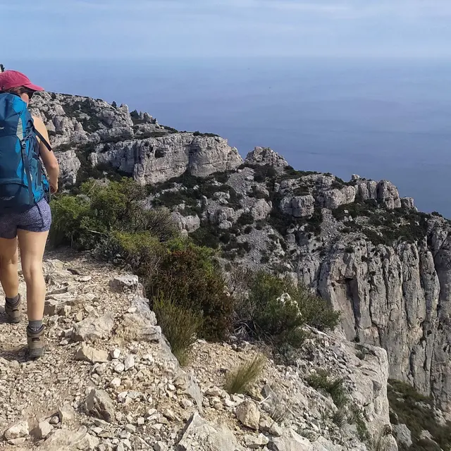 Altaï_Marseille