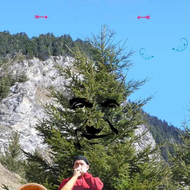 Mon beau sapin