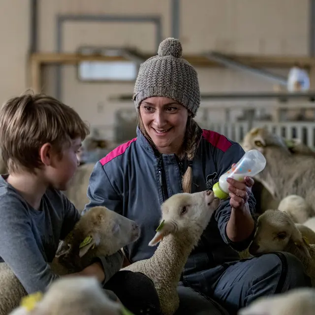 Ferme Flouka_Dévoluy