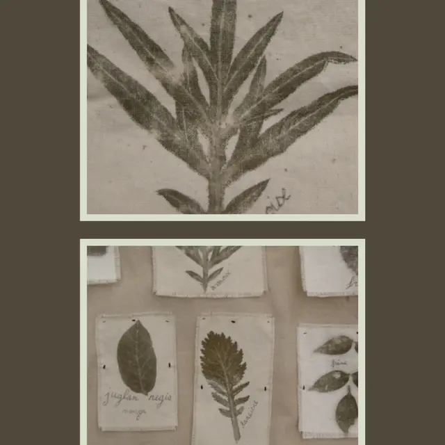 Atelier Initiation à la teinture végétale_Arvière-en-Valromey