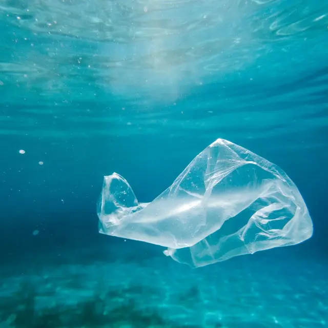 Conférence : “La vie de ma mer (sans plastique)”