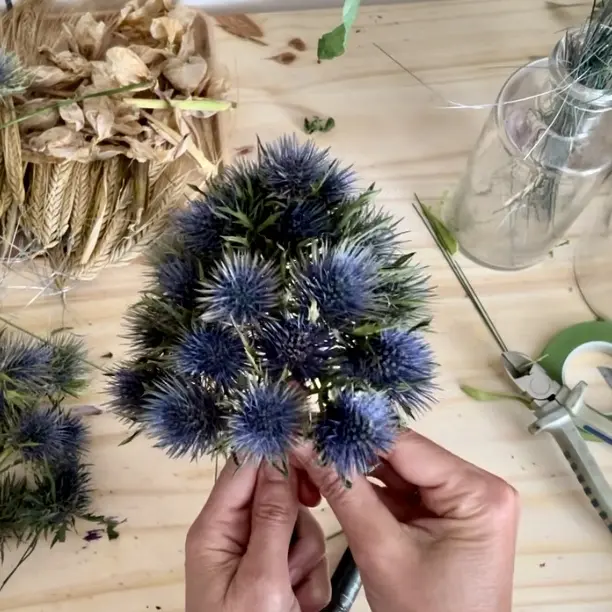 Lili-Clémence Bethemont_Roanne