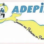 ADEPIR