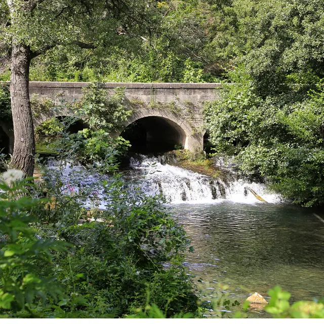 Les gestes qui sauvent en milieu naturel_Velleron