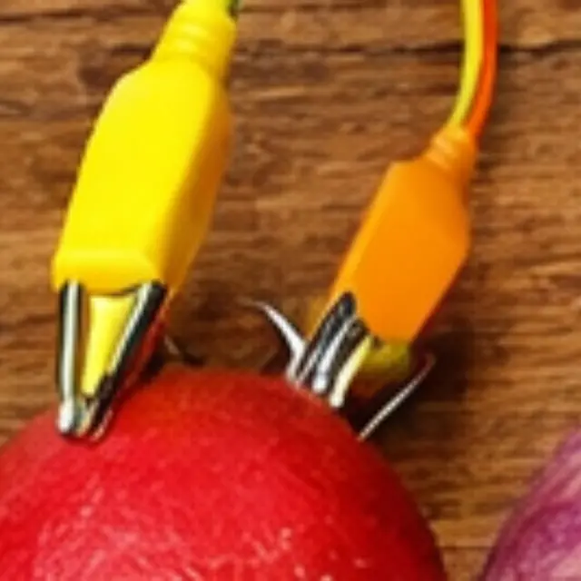 Muséolab - Atelier Le cri du navet_Bourg-en-Bresse