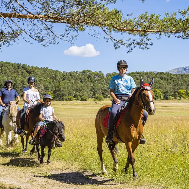 Route Napoléon à cheval