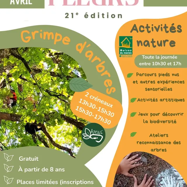 Marché aux fleurs_Belley