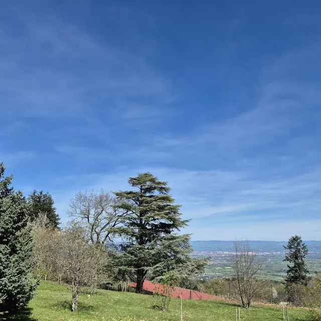 Fête des Grands Murcins_Arcon