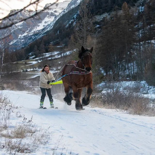 Provence Equiservices - Ski joëring