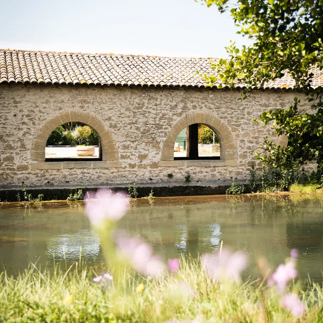 À la découverte du canal_Saint-Saturnin-lès-Avignon