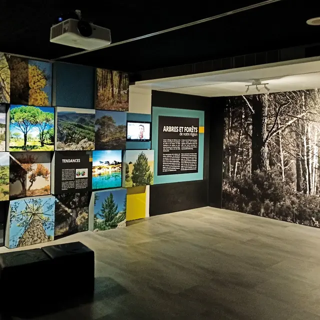 Les journées du patrimoine à l'Écomusée de la forêt_Gardanne