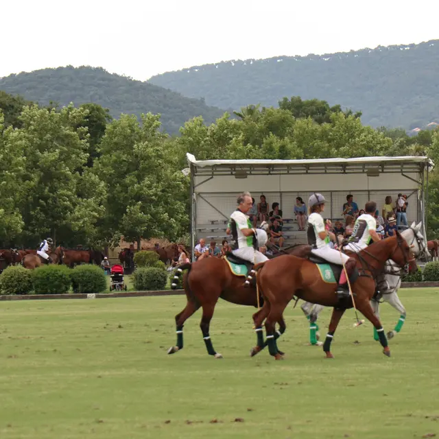 Tournoi de polo - Polo exhibition week et practrices_Gassin