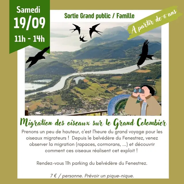 Migration des oiseaux sur le Grand Colombier_Culoz-Béon