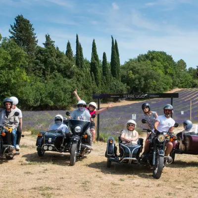 Circuit des lavandes et vignobles en sidecar : 2h,4h ou 6h (juin à septembre)