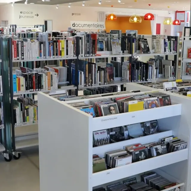 mediatheque foix