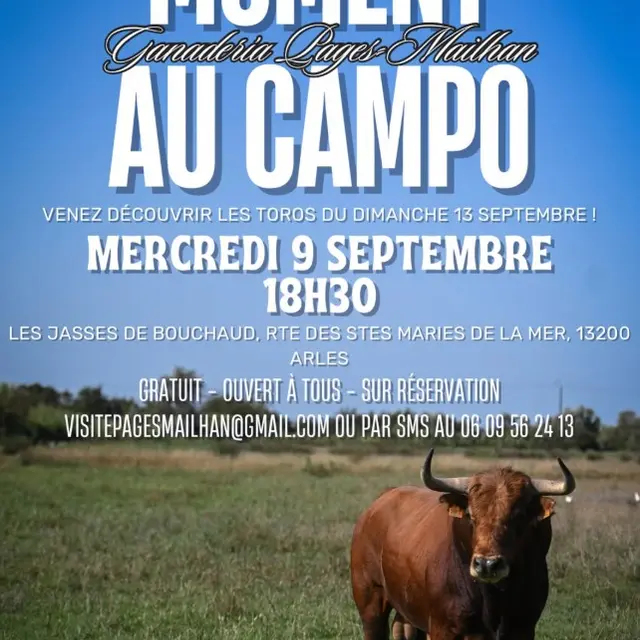 Moment au Campo - Ganaderia Pagès-Mailhan_Arles
