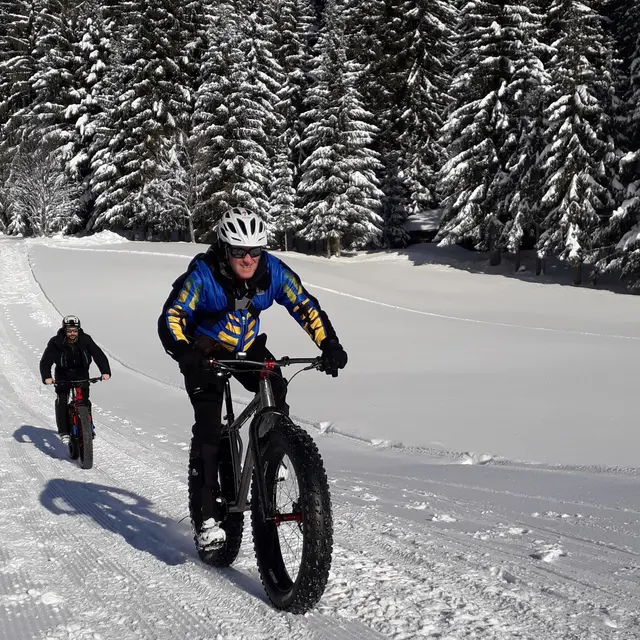 Fat Bike