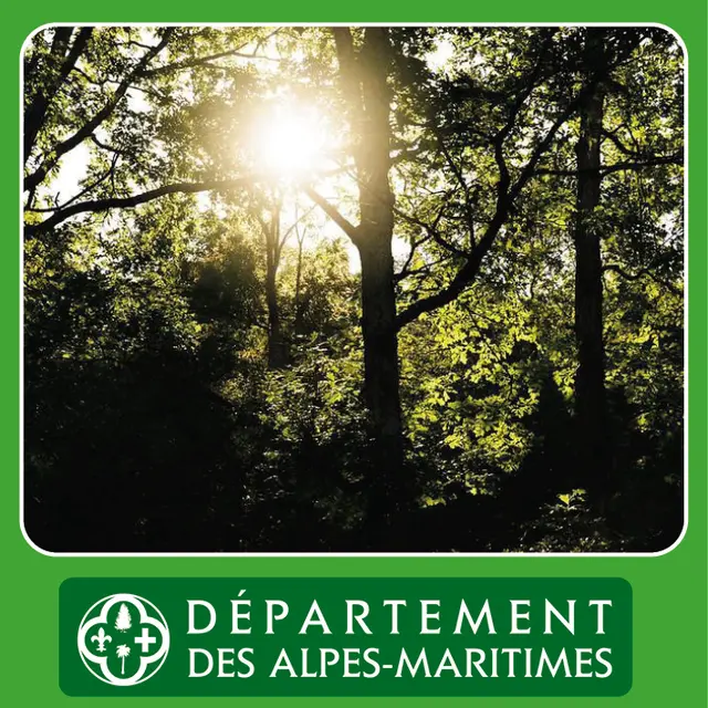 Atelier  Le soleil : source de lumière, source de vie _Villeneuve-Loubet