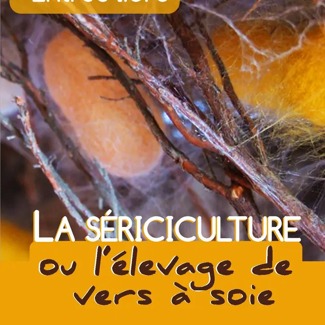 La sériciculture