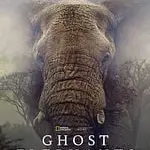 Au cinéma Le Cigalon : Ghost Elephants_Cucuron