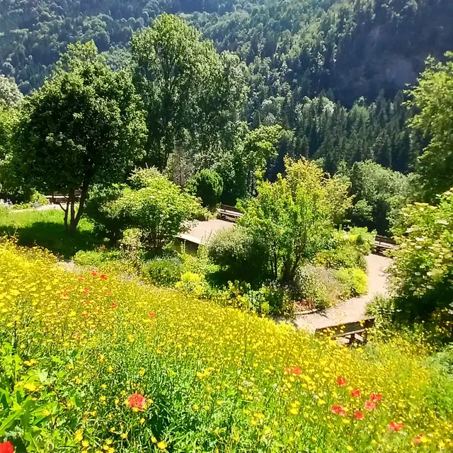 Jardin Alpin_Bellevaux