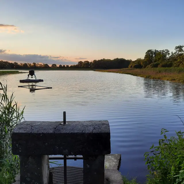 Visite d'un étang de la Coopépoisson_Châtillon-la-Palud
