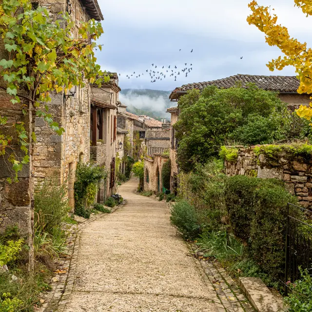 Visite-papote à la lumière des lanternes_Bruniquel