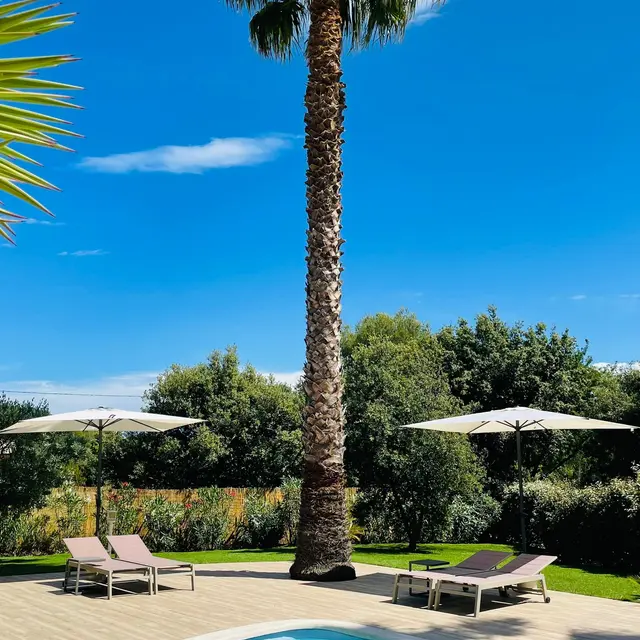 Au Temps pour Vous_Le Castellet