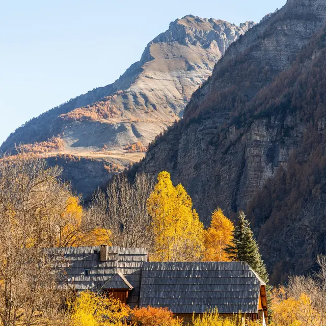 Randonnées à Dormillouse  avec Sarah CIESLAR, Accompagnatrice en montagne_L'Argentière-la-Bessée