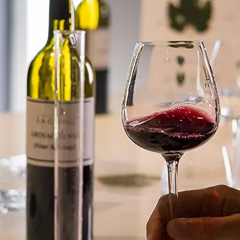 Atelier Ampélographie : de la vigne au vin à La Cavale - Cucuron_Cucuron