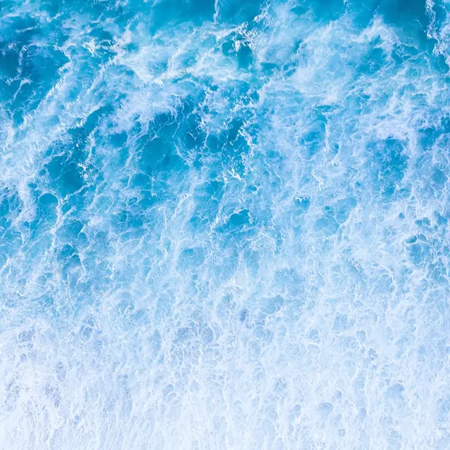 Bleu !