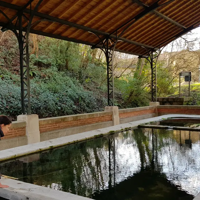 Lavoir de Nègrepelisse