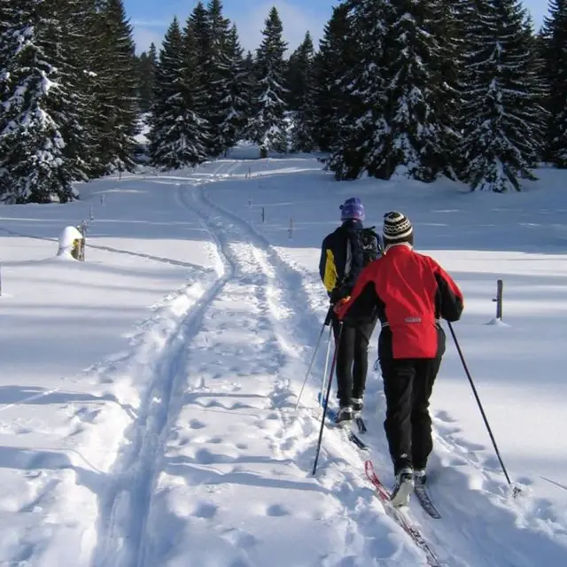 Itinéraire nordique Col du Feu - Foyer des Moises_Lullin