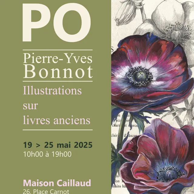 Exposition Pierre-Yves Bonnot à la Maison Caillaud_Ars-en-Ré