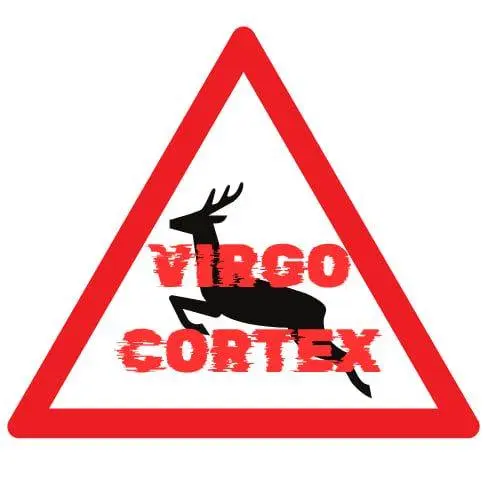 Groupe Virgo Cortex_Les Adrets-de-l'Estérel