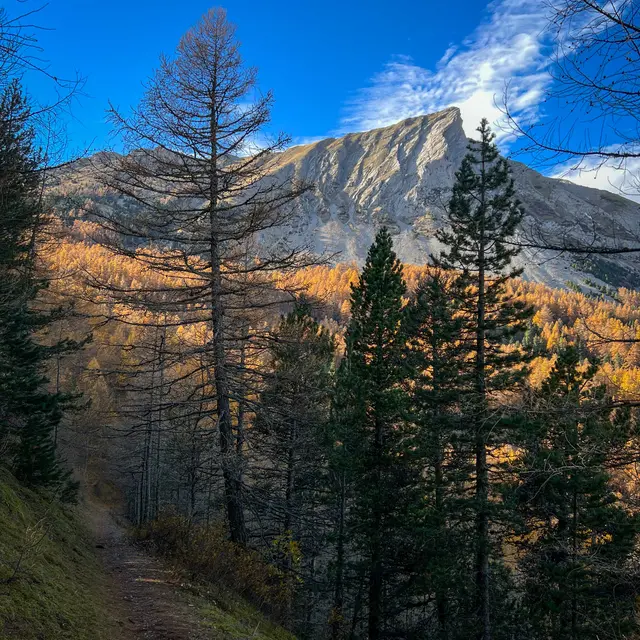 Sentier de la Cuque_Laye