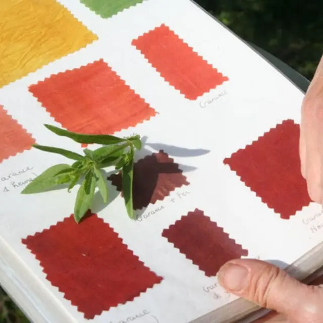 Démonstration et ateliers de teinture végétale_Montrond-les-Bains