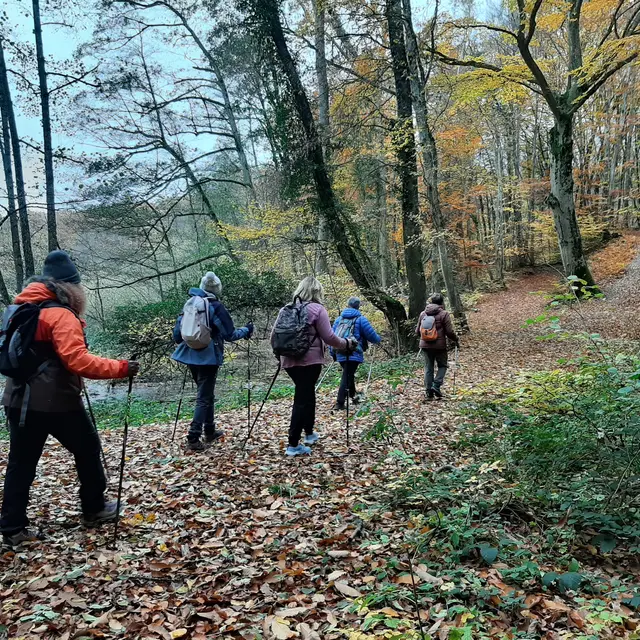 Les sentiers de Florent - Marche nordique_Larringes