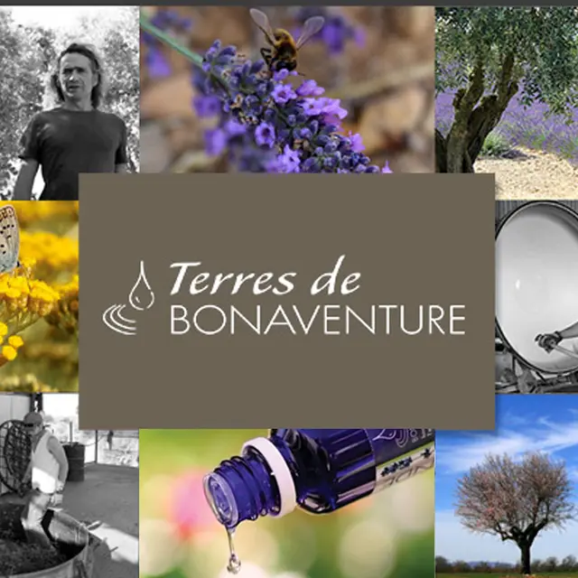 Terres de Bonaventure