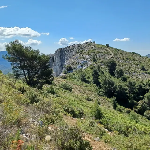 Trail Etoile Mont Julien