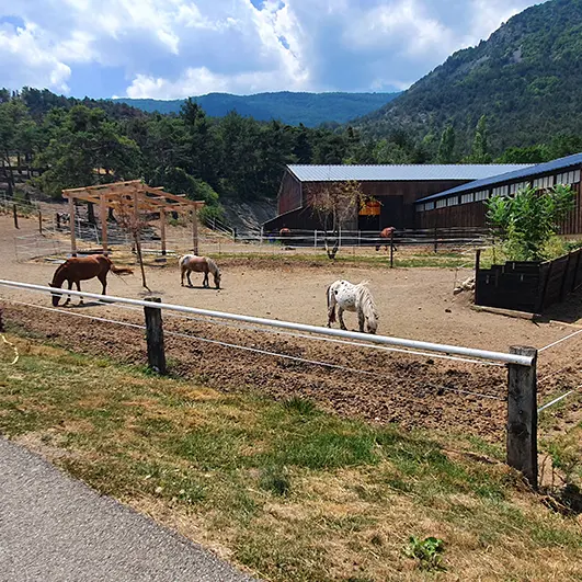 Centre équestre Istremont