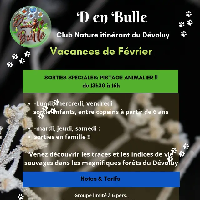 Découverte du pistage animalier_Dévoluy