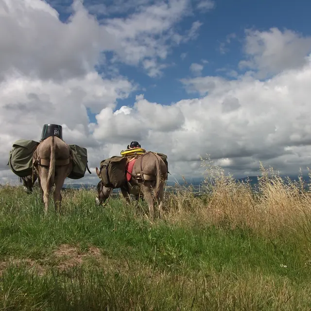 Randonnée-bivouac accompagné des ânes de bât dans le Val Sulens, au sud du massif des Aravis