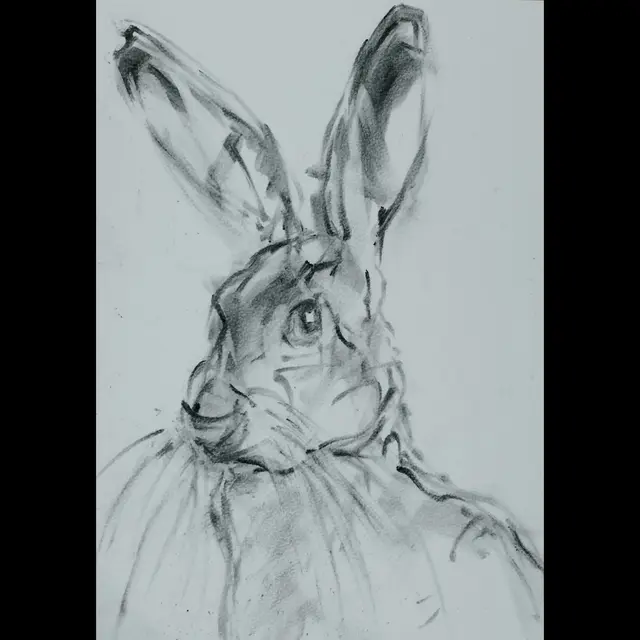 Lapin malin