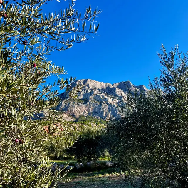 Randonnée Sainte Victoire_Aix-en-Provence